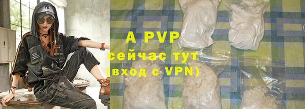 PSILOCYBIN Россошь